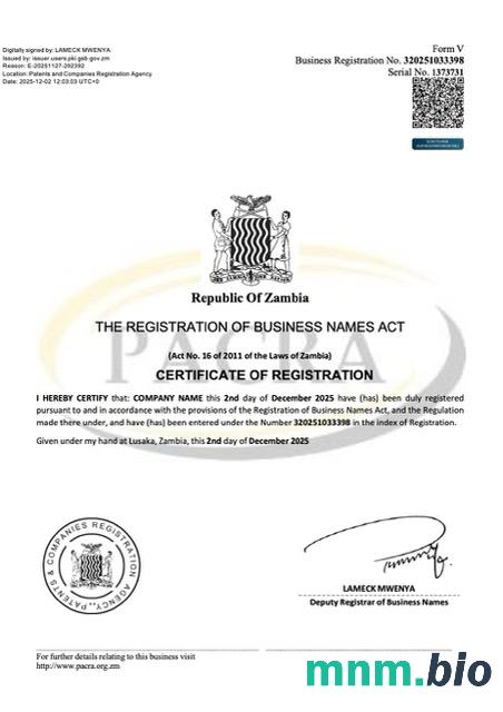 Zambia szablon Word i PDF certyfikatu rejestracji nazwy firmy